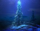 Christmas Wallpapers 295